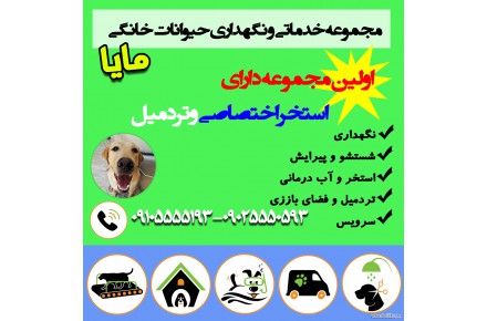پانسیون حیوانات خانگی مایا - 1