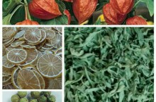 پخش کمیابترین گیاهان دارویی و معطر ادویه جات