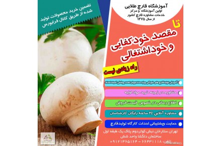 آموزش پرورش قارچ خوراکی و گانودرما - 1