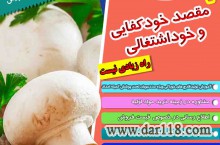 آموزش پرورش قارچ خوراکی و گانودرما