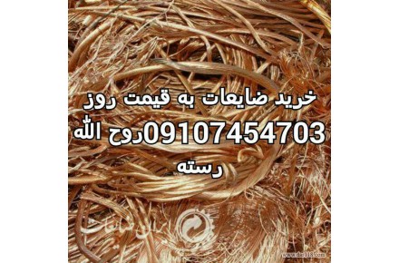 خرید انواع ضایعات،کارتن،شیشه شکسته،آهن آلات،فلزات،کاغذ،نایلون و... - 1