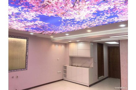 طراحی،نصب و اجرای انواع سقف های کناف آسمان مجازی،سقف های کششی،پرینتی،لاکر و... - 1