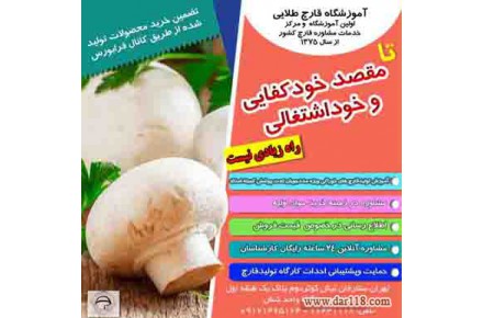 آموزش پرورش قارچ خوراکی و گانودرما