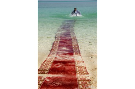کارخانه قالیشویی و مبل شویی کلهر - 1