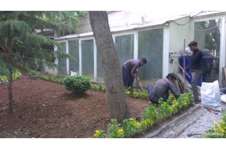 خدمات باغبانی در منزل - 1