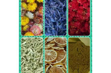 پخش گیاهان دارویی و معطر عطاری - 1