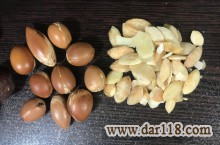 فروش دانه های روغنی و روغن های گیاهی و طبیعی
