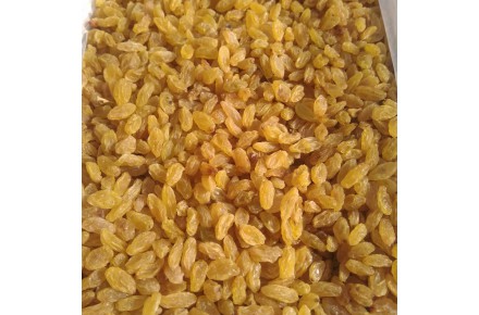 فروش عمده کشمش و افتابی - 2