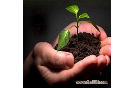 کمپ ترک اعتیاد (راهی به سوی نور)