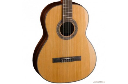 گیتار cort as250 - 2