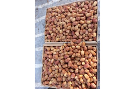 فروش خرمای زاهدی درجه یک - 6