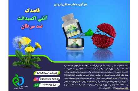 کپسول گیاهی قاصدک درمان کننده کبد چرب و دیابت - 1