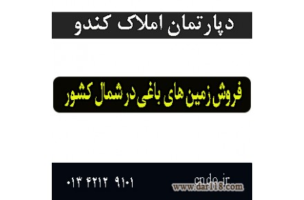 کارگزاری املاک کندو - 1