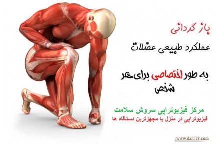 مرکز تخصصی فزیوتراپی  سروش سلامت - 2