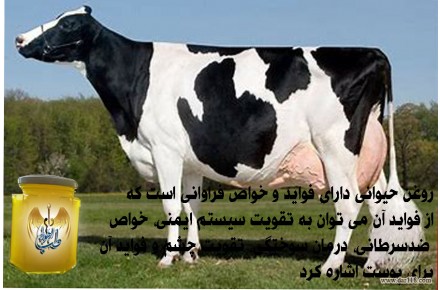 روغن زرد گاوی ۱ کیلوی خالص اعلاء