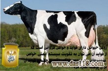 روغن زرد گاوی 1 کیلوی خالص اعلاء