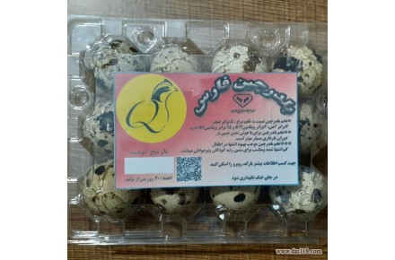 فروش تخم نطفه دار بلدرچین - 2