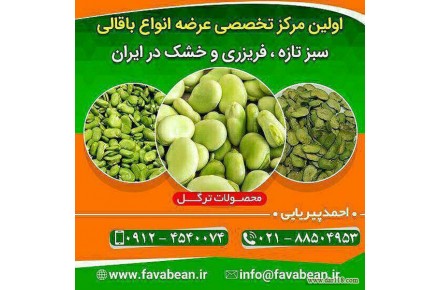 باقالی سبز خشک ، باقالی سبز تازه ، باقالی سبز منجمد - 1