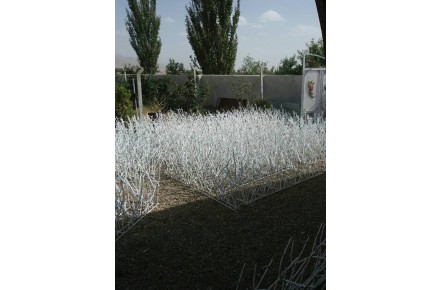 نرده شاخ گوزنی حفاظ روی دیوار - 5