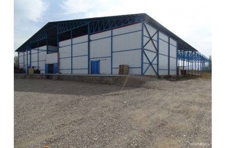 سردخانه - 2