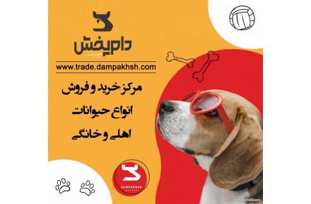 سایت خرید و فروش و حیوانات خانگی و کالاهای دامی - 1