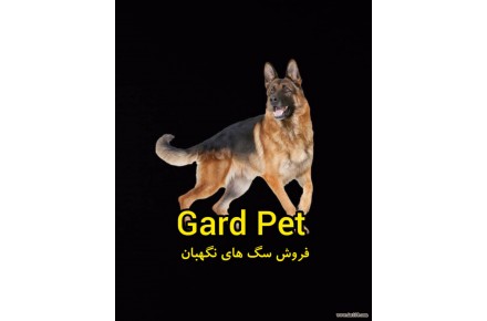 خرید و فروش سگ نگهبان