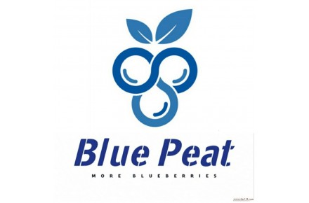 بستر کشت بلوبری بلوپیت BluePeat - 1