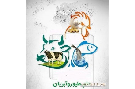 فروشگاه بزرگ اوژن مارکت - 1