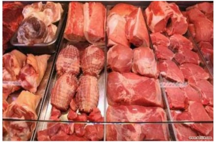 پخش عمده انواع گوشت و مرغ تازه،ماهی و میگوی دریایی - 3