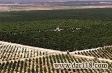 فروش زمین 3000 هکتاری کشت و صنعت 