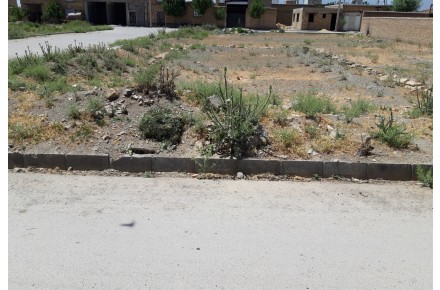 فروش زمین مسکونی تجاری در امزاجرد - 1