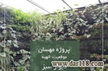 طراحی، تولید، اجرای صنعتی روف گاردن – بام سبز – دیوار سبز