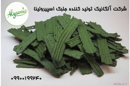 جلبک اسپیرولینا غذای ماهیان زینتی - 1