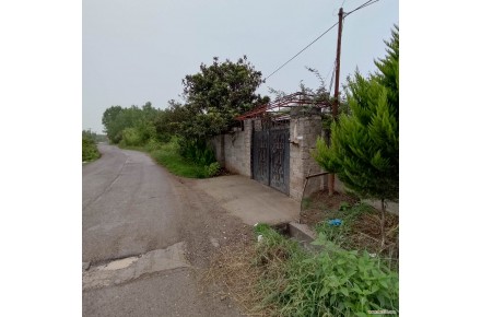 خانه کلنگی 672متری نزدیک دریا - 2