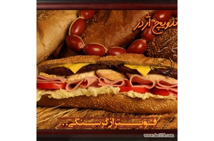 اخذ نمایندگی اژدر فست فود - 3