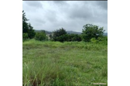 زمین داخل شهرک چشم انداز جنگلی - 2