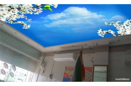 سقف کاذب ابرارسازه - 2