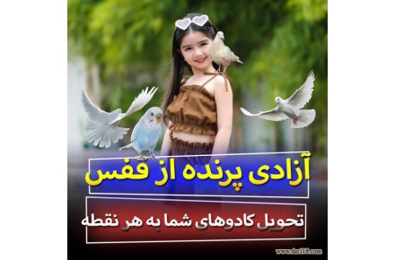 تحویل کادو و آزاد کردن پرنده  - 1