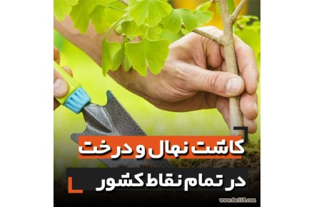 تحویل کادو و آزاد کردن پرنده  - 3