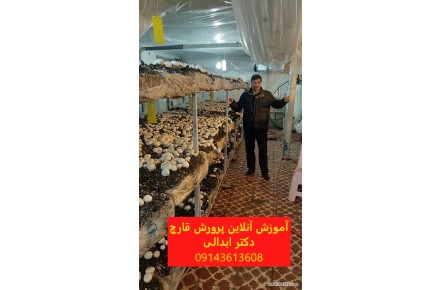 ارسال کمپوست قارچ با کیفیت عالی برای سراسر کشور - 1