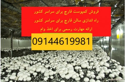 ارسال کمپوست قارچ با کیفیت عالی برای سراسر کشور - 3