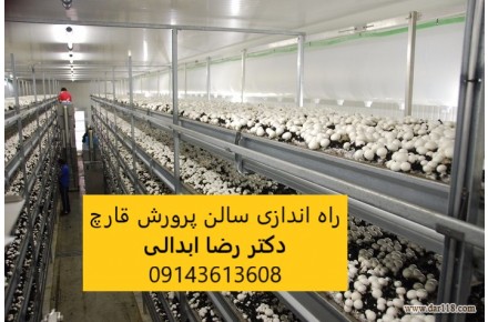 راه اندازی سالن قارچ در زیرزمین، انباری و دامداری ها