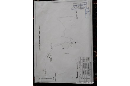 فروش زمین کشاورزی وباغ - 3
