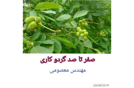 درآمد میلیاردی از باغداری - 1