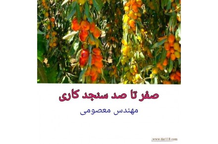 درآمد میلیاردی از باغداری - 3