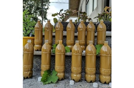 پخش آبمیوه های طبیعی ( آب زرشک- آب آلبالو- آب انار و...) - 3