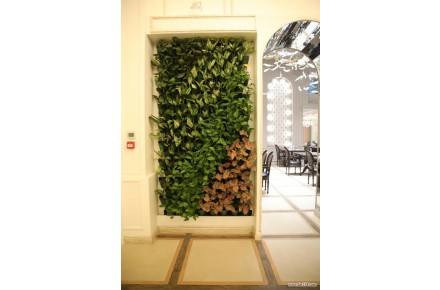 طراحی و اجرای دیوار سبز تیاب - 1