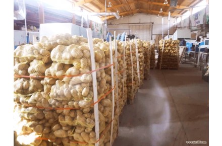 پایانه سورت و بسته بندی میوه صادراتی به آسیای میانه - 2