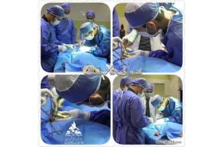 بیمارستان دامپزشکی و پت شاپ شبانه روزی حیوانات خانگی و پرندگان درین - 3