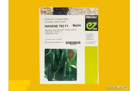 فروش بذر خیار ناگین  - 3